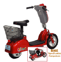 Classic Style 2 Wheeled Electric Scooter